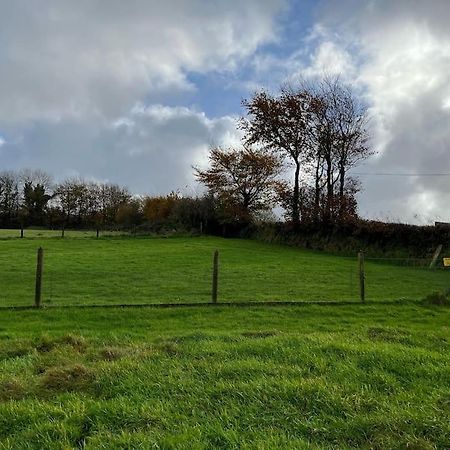 Woodland View At Hewish Mill Villa Bittadon Dış mekan fotoğraf