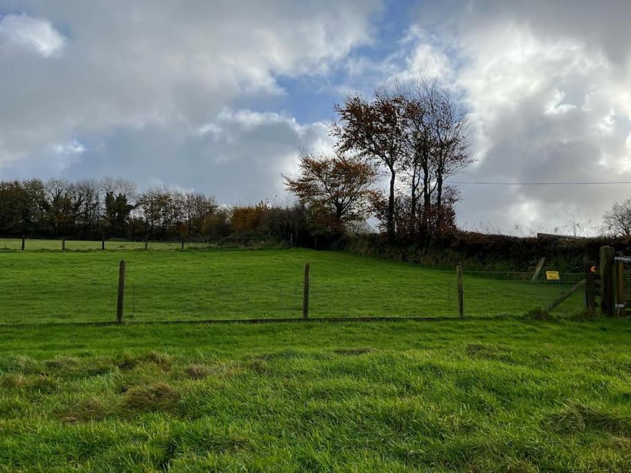 Woodland View At Hewish Mill Villa Bittadon Dış mekan fotoğraf